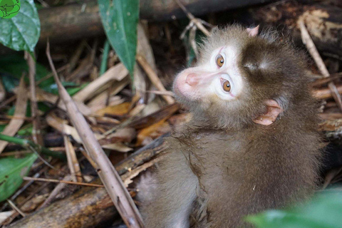 From Ho Chi Minh City: 2-Day Cat Tien National Park Tour