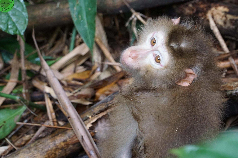 From Ho Chi Minh City: 2-Day Cat Tien National Park Tour