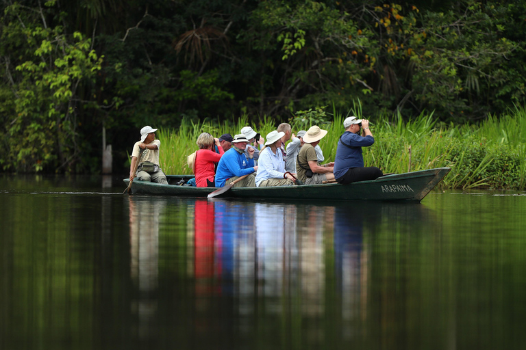 Puerto Maldonado : Trek du Tambopata 3 jours 2 nuits