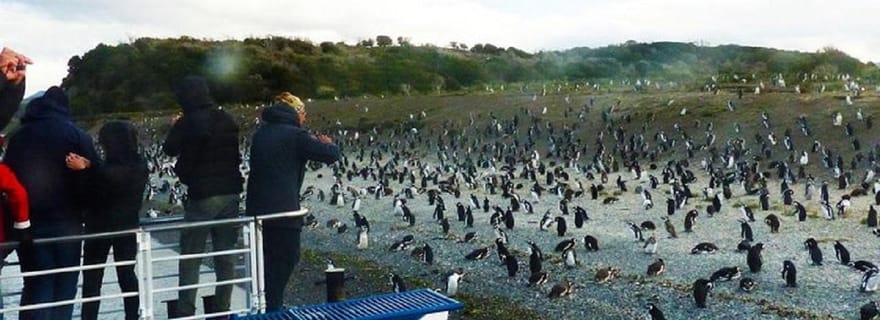 Ushuaia : Navigation sur le canal de Beagle jusqu'à la colonie de pingouins