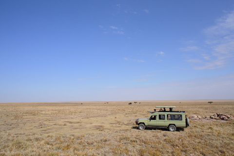 7 jours de safari en Tanzanie