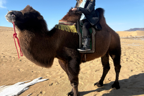 2-Day Chinggis Khaan Statue Tour with Camel Ride