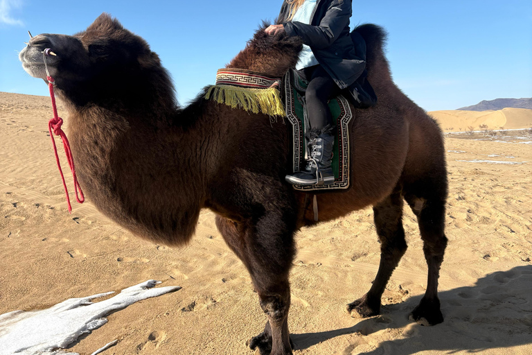 2-Day Chinggis Khaan Statue Tour with Camel Ride