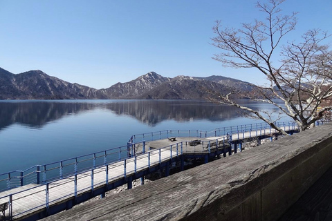 Tokyo : Excursion privée d&#039;une journée à Nikko avec visite du sanctuaire de Toshogu