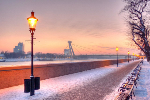 Vienna: Bratislava and Budapest Day Trip with Guide