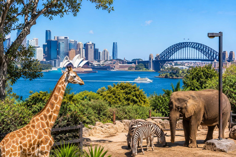 Sydney: Taronga Zoo Entry Ticket with Keeper Talks