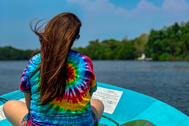 Madu River Boat Safari & Traditional Mask Workshop Visit Pick-up From: Hikkaduwa