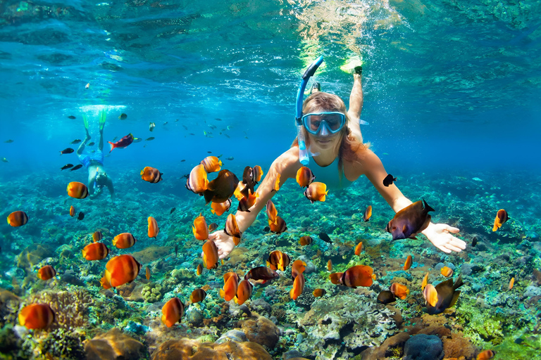 Nusa Penida: Snorkeling Tour with Hotel Transfer From BaliNusa Penida: Snorkeling Tour with Hotel Transfer