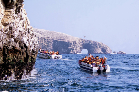 Depuis Lima : 9D/8N Tour avec Ica-Paracas-Cusco + Hôtel ☆☆☆Au départ de Lima : 9J/8N Tour avec Ica-Paracas-Cusco + Hôtel 2☆☆☆