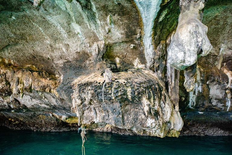 Från Phi Phi: Snorkeltur med solnedgång och bioluminescerande plankton