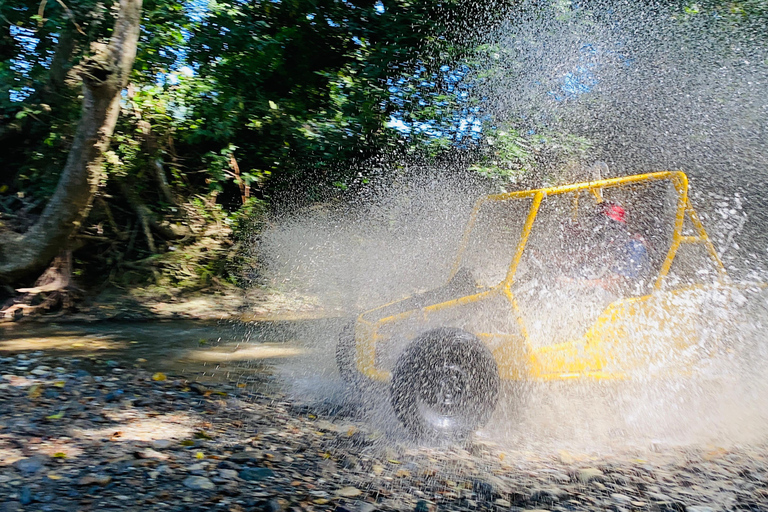 Puerto Plata: Jungle Buggy Quest & Ancestral Senses