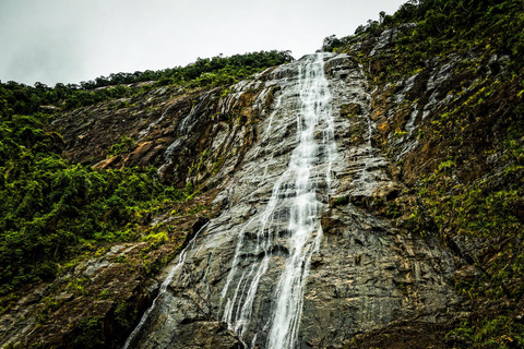 Ab Da Nang: Trekking im Nationalpark Bach MaGruppentour (max. 15 Personen/Gruppe)