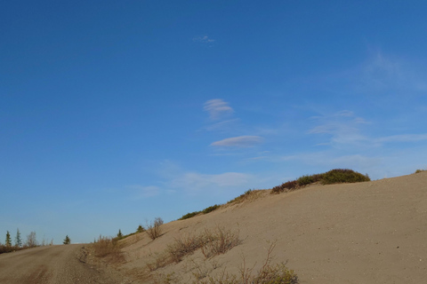 Authentical Denali Tour from Denali Park and Fairbanks