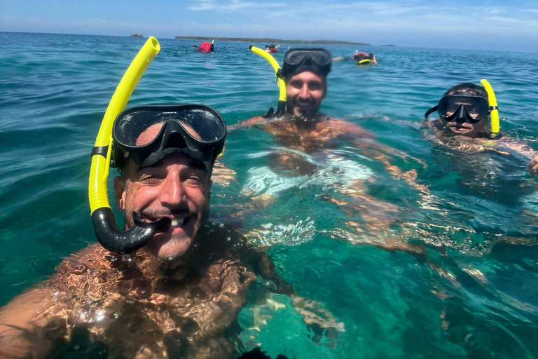 Sightseeing tour of the Rosario Islands (snorkeling, lunch and raccoons)