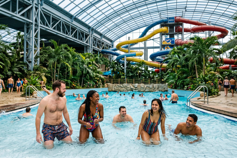Bucharest Therme Wellness Transfer with Skip-the-Line Ticket Therme - Palm + Galaxy with Skip-the-Round ticket 3 HOURS
