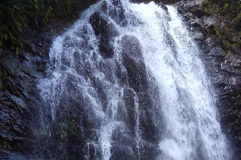 Cali: Pacific Jungle Trek to Hidden Pools & La Sirena Falls