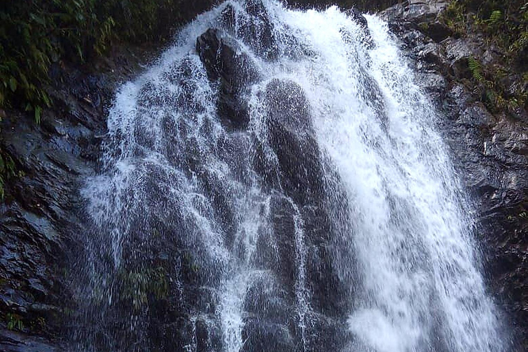 Cali: Pacific Jungle Trek to Hidden Pools & La Sirena Falls