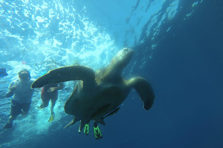 Lombok: Private Glass-Bottom Boat Tour with Snorkeling