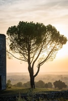 Saint Emilion Mezza giorno Ebike e Wine Tour con Picnic - Housity