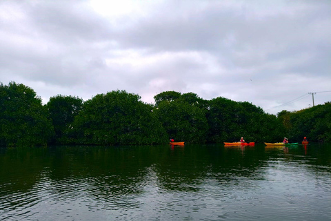Cartagena: Kajaktur med guide och havsutsikt