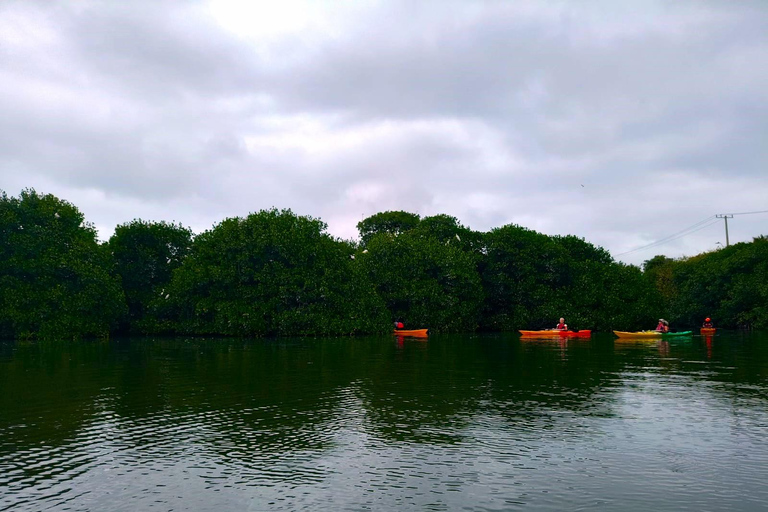 Cartagena: Kajaktur med guide och havsutsikt