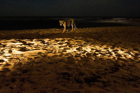 Van Arugambay naar Tangalle/Mirissa met Yala luipaardsafari