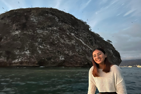 Puerto Vallarta: Bioluminescencja w Parku Morskim Los Arcos