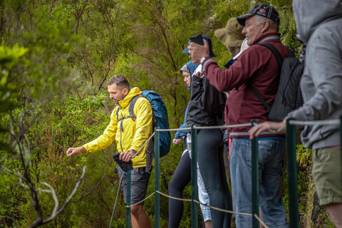 Madeira: Fontane di Rabaçal 25 Passeggiata di Levada e Cabo GirãoRabaçal: passerella e sentiero Levada das 25 Fontes