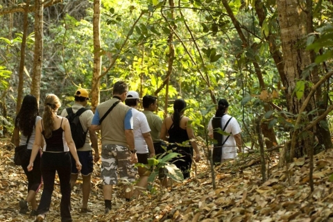 San Cristóbal: Lacandona Jungle 4 Days Tour
