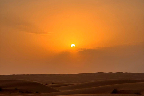 Desde Mascate: 2 días, 1 noche en Wahiba Sands