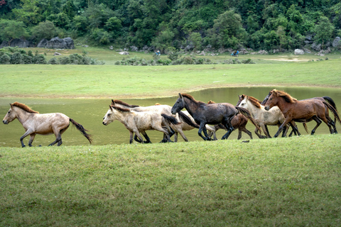 Azores: Scenic Horseback Ride with Coastal Views