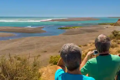 Puerto Madryn: Full Day Peninsula Valdes Experience Tour