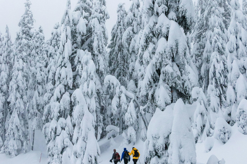 Chamonix: Schneeschuhwandern mit lokaler Käse- und Weinverkostung