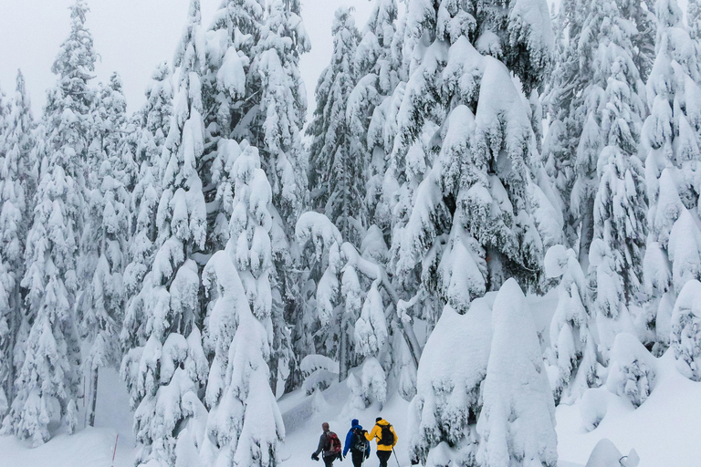 Chamonix: Sneeuwschoenwandelen met lokale kaas &amp; wijnproeverij