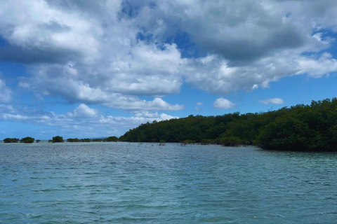 بويرتو بلاتا: جولة إرشادية في خليج أمبر وخليج تاينو