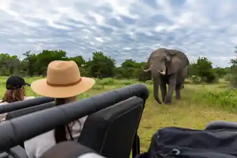 Moremi Game Reserve Delta Day Trip