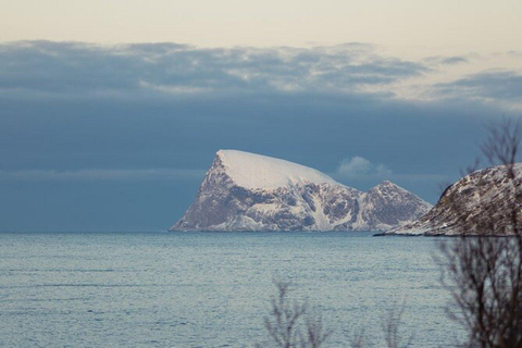 Tromsø: Excursión Kvaløya, and Sommarøy