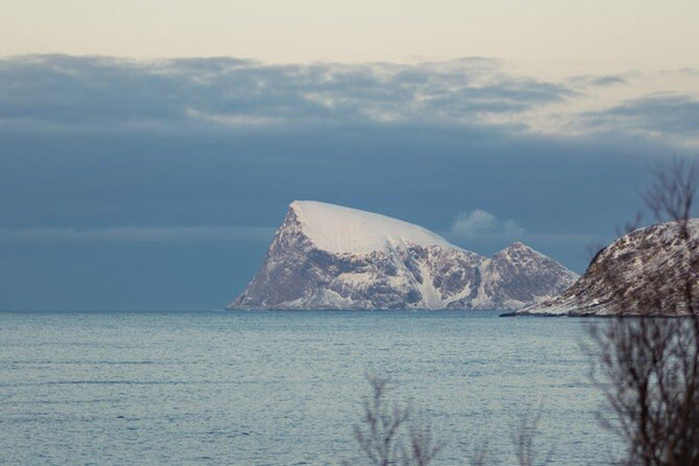 Tromsø: Excursión Kvaløya, and Sommarøy