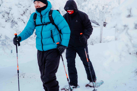 Levi: Aventura guiada com raquetes de neve