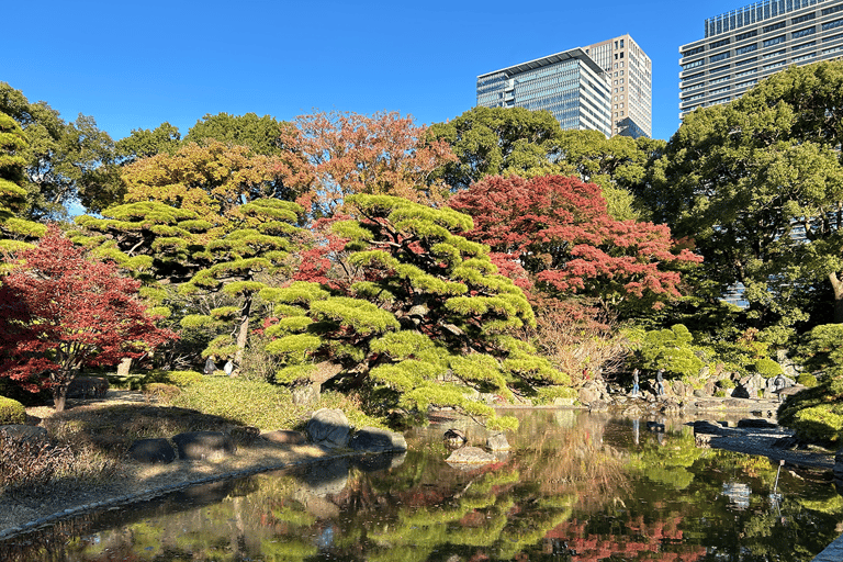 Tokio: Historyczna wycieczka piesza do Pałacu Cesarskiego, Zamek w Tokio