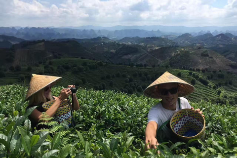 The Largest Tea Plantation and Xianggong Hill Tour