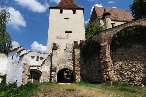 From Bucharest: Transylvania 6 Days Private Guided Tour