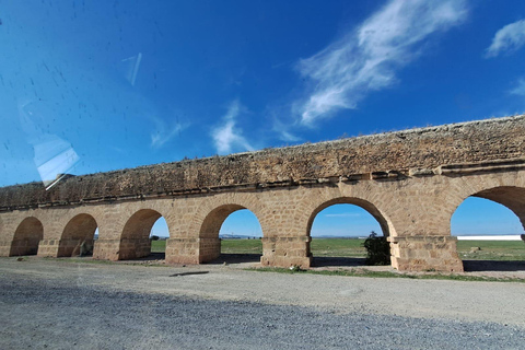 From Tunis: Bardo Museum, Oudhna & Aqueduct Private Tour