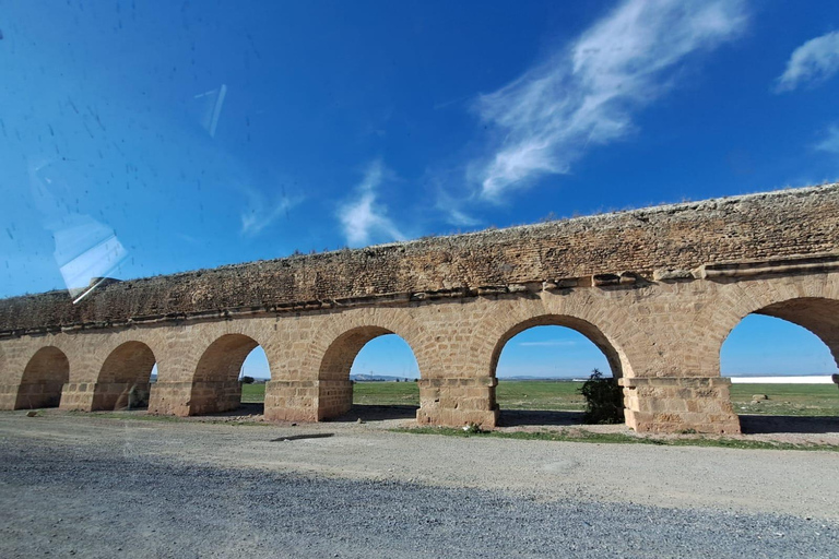 From Tunis: Bardo Museum, Oudhna & Aqueduct Private Tour