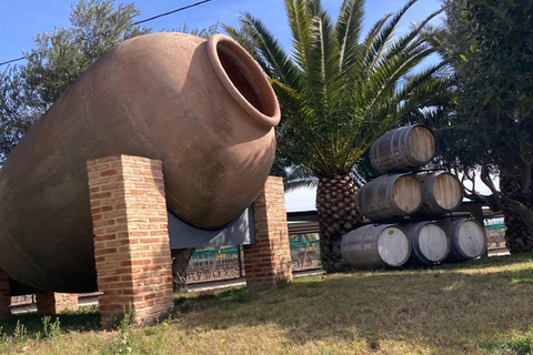 Alicante: Wine tasting tour with transfer