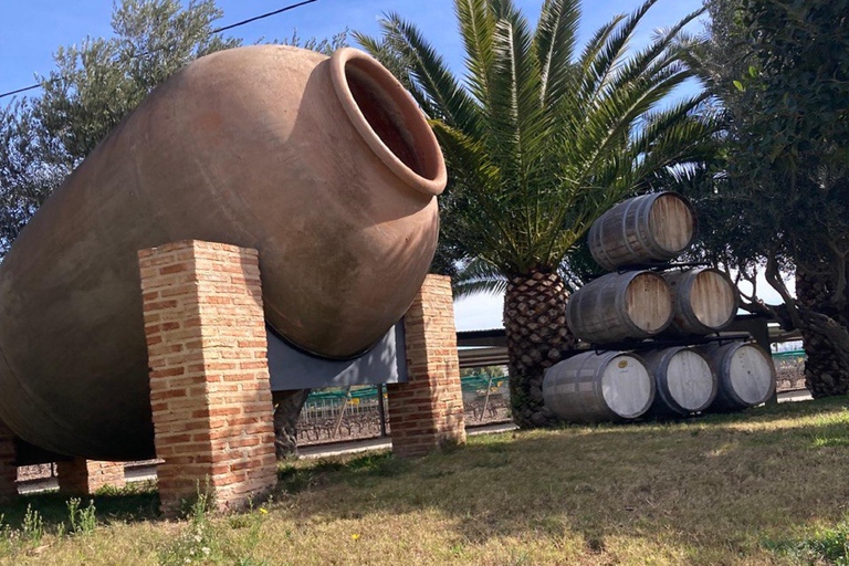 Alicante: Wine tasting tour with transfer