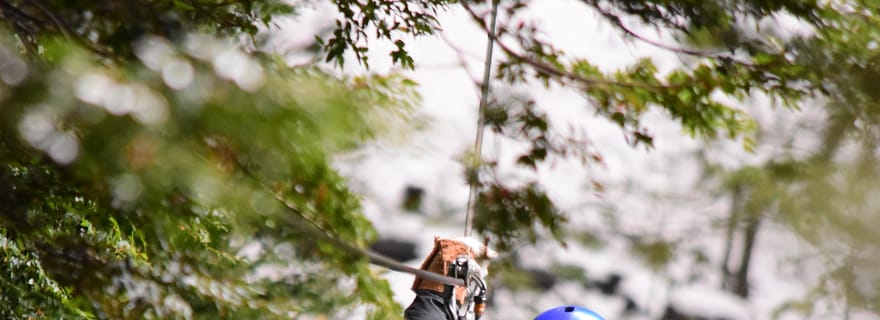 Visite d'une demi-journée de la canopée à Bariloche