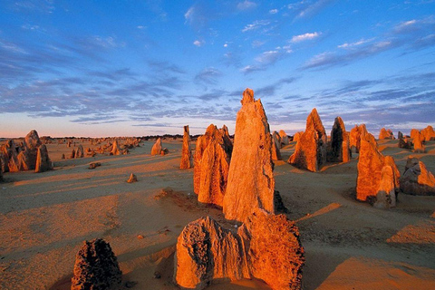 Perth: Pinnacles Desert, Yanchep & Lancelin Private Tour