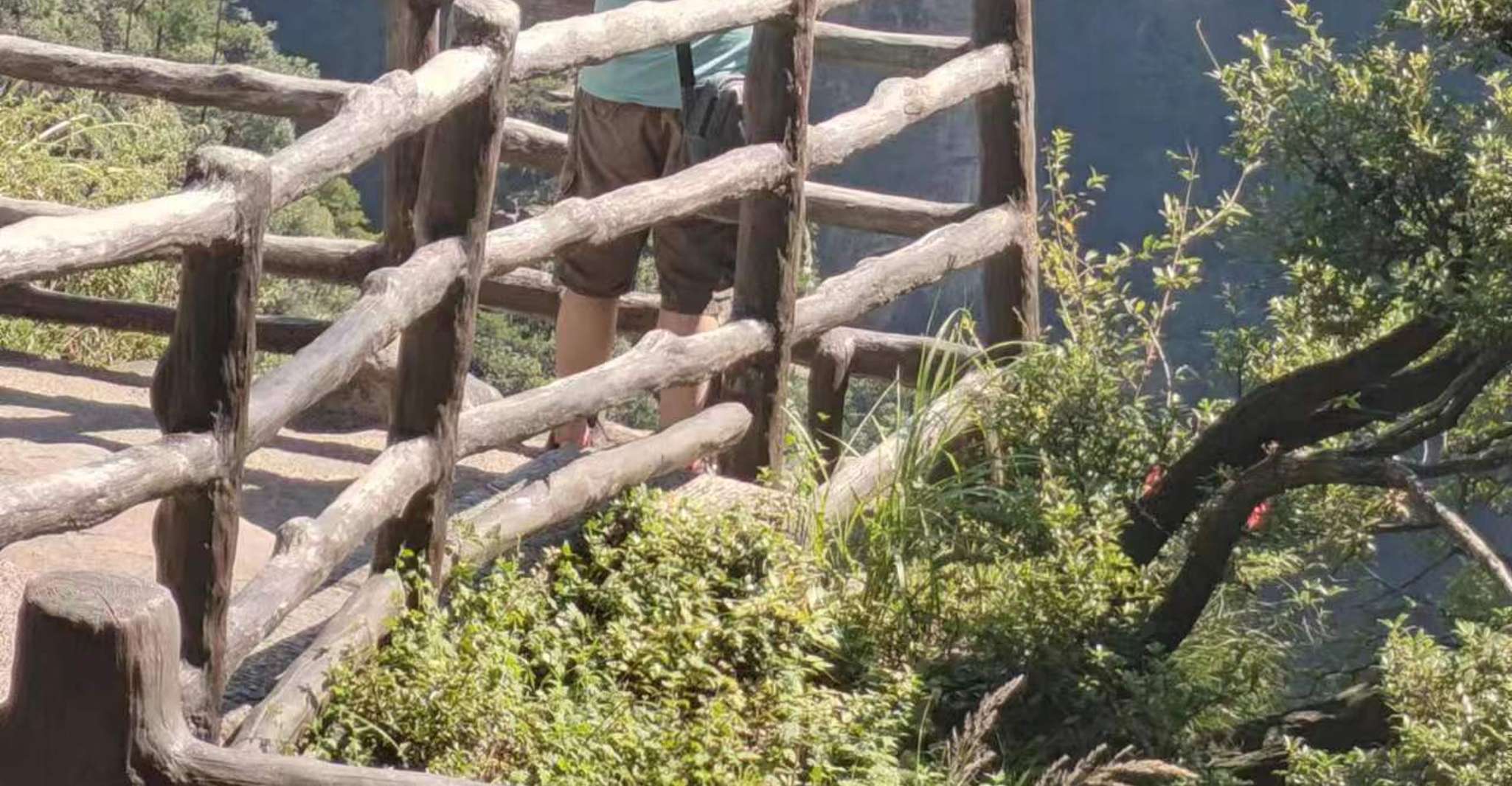 Full-Day Private Tour of Zhangjiajie National Forest Park - Housity
