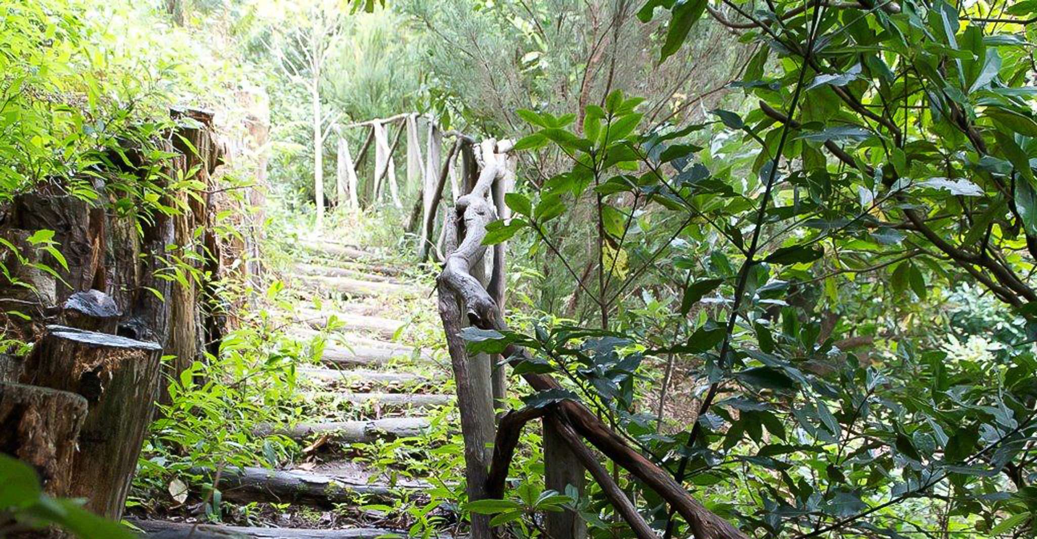 Levada Walk und Caldeirao Verde Wasserfälle, Madeira - Hizvo